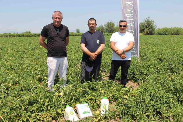 Hem hastalıklardan kurtuldular hem verimi artırdılar