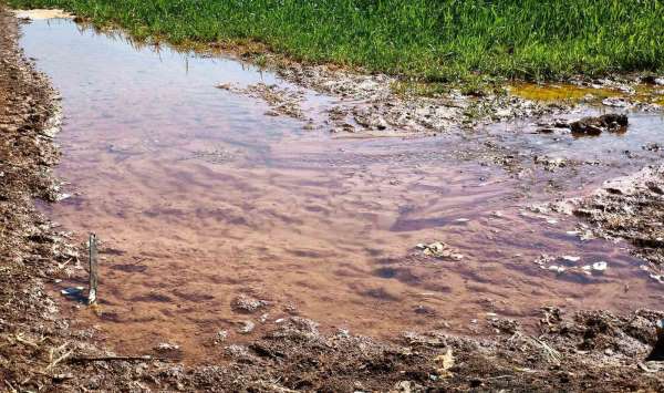 Şanlıurfa'da tarımsal su krizi derinleşiyor