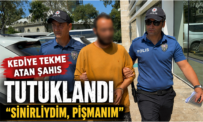 Kediye tekme atan şahıs tutuklandı: 'Sinirliydim, pişmanım'