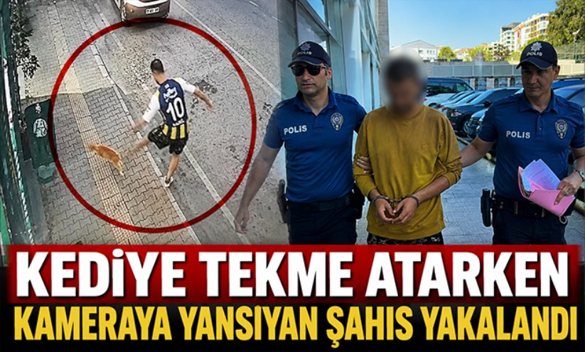 Kediye tekme atarken kameraya yansıyan şahıs yakalandı