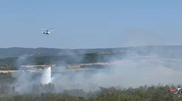 Tekirdağ'da anız yangını ormana sıçradı: Havadan ve karadan müdahaleyle kontrol altına alındı