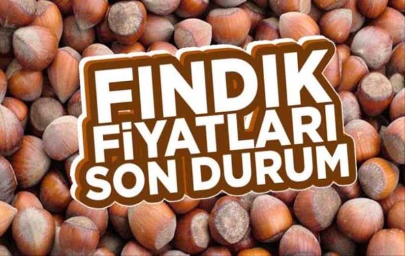 16 Ağustos fındık fiyatları!