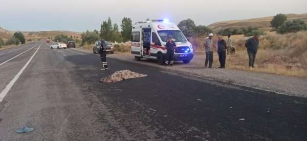 Sivas'ta trafik kazası: 1 ölü