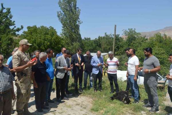 Kaymakam Yılmaz'dan şehit ve gazi ailelerine ziyaret