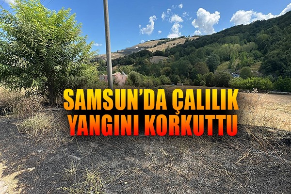 Çalılık alandaki yangın ormana sıçramadan söndürüldü