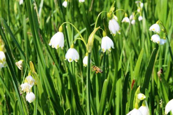 Çevre Kanunu'na uymayan 16 kişiye 4,6 milyon TL ceza