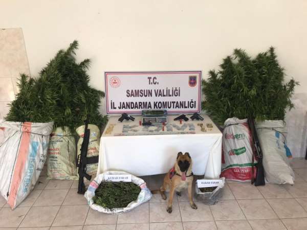 Bafra'da jandarma ekipleri uyuşturucu ve silah ele geçirdi