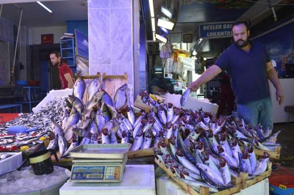 Balıklar bollaşıyor, fiyatlar düşüyor
