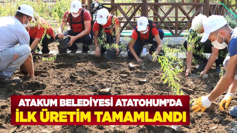 Atakum Belediyesi AtaTohum'da ilk üretim tamamlandı