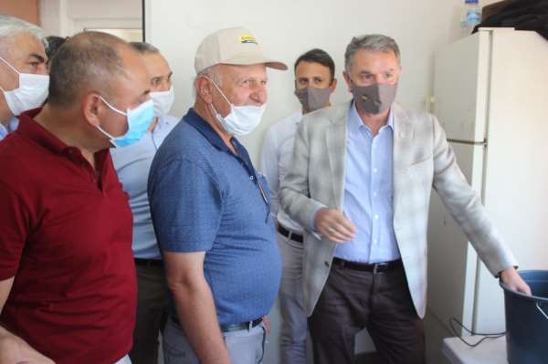 TMO 10 günde 10 bin ton üzüm alımı gerçekleştirdi 