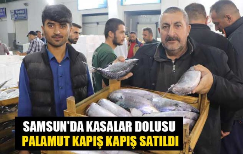 Samsun'da kasalar dolusu palamut kapış kapış satıldı