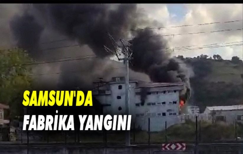 Samsun'da fabrika yangını kontrol altına alındı