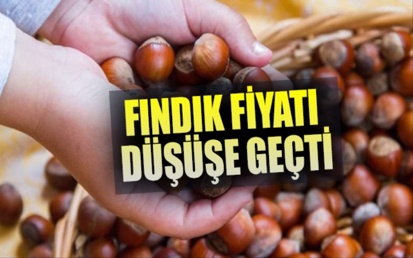 Fındık fiyatı düşüşe geçti