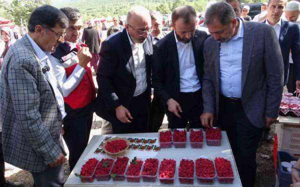 Kütahya'da 'Ahududu Şenliği' renkli görüntüler oluşturdu