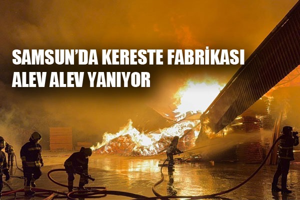 Samsun'da kereste fabrikası alev alev yanıyor