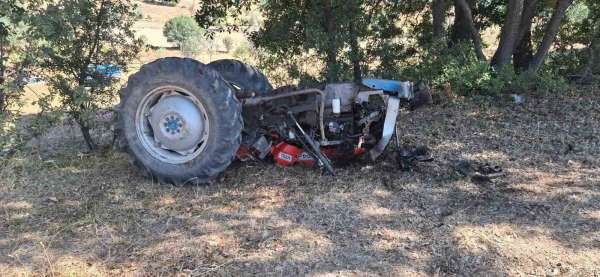 Kuşburnu toplamaya gitti, dönüşte canından oldu