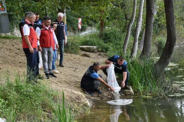 Ordu'daki göl ve göletlere 80 bin yavru sazan bırakıldı
