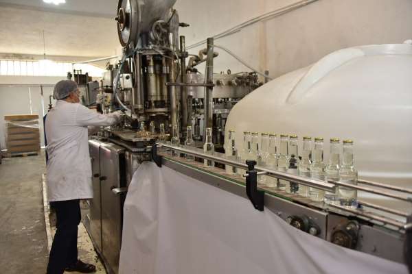 Karatay'ın lavantası ekonomiye katkı sağlıyor - Konya haber