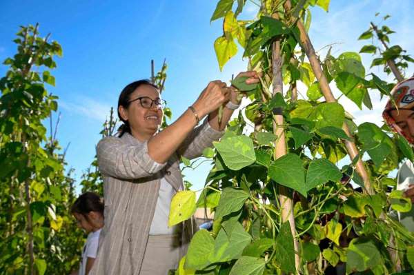 Yalova'da 65 çiftçiye 500 bin fide dağıtıldı