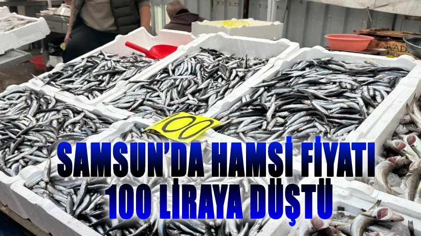 Samsun'da Hamsi Fiyatı 100 Liraya Düştü