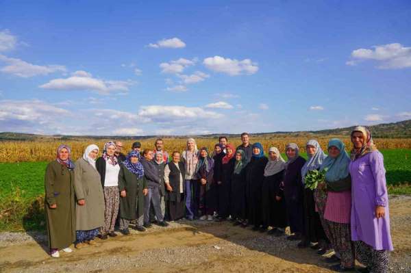Bilecik'te dağıtılan sebze fidelerinin hasadını yapıldı