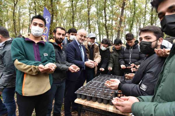 OMÜ Kurupelit Kampüsü'nde 'meşe palamutları' toprakla buluştu