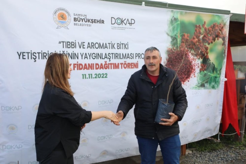 Karadeniz'in ilk 'sumak' bahçeleri Samsun'da kurulacak