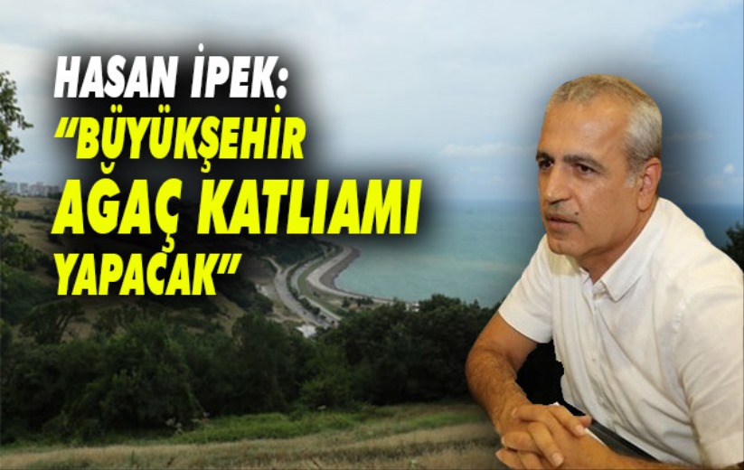Hasan İpek, 'Büyükşehir ağaç katliamı yapacak'