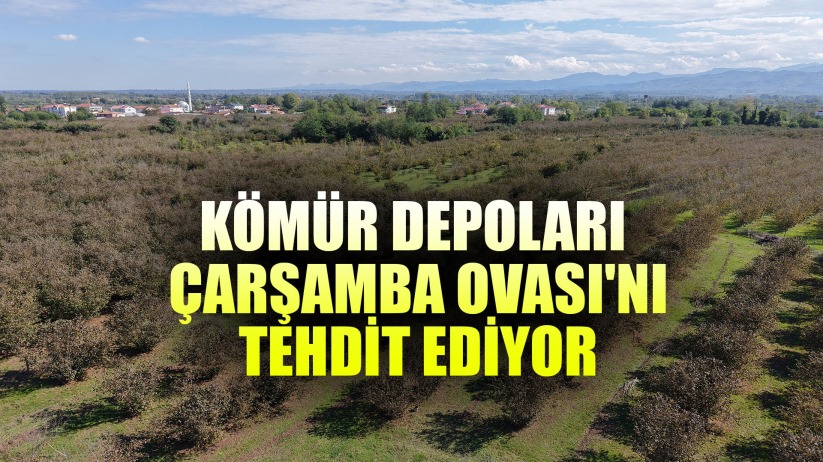 Yılmaz: ' Kömür depoları Çarşamba Ovası'nın geleceğini tehdit ediyor'