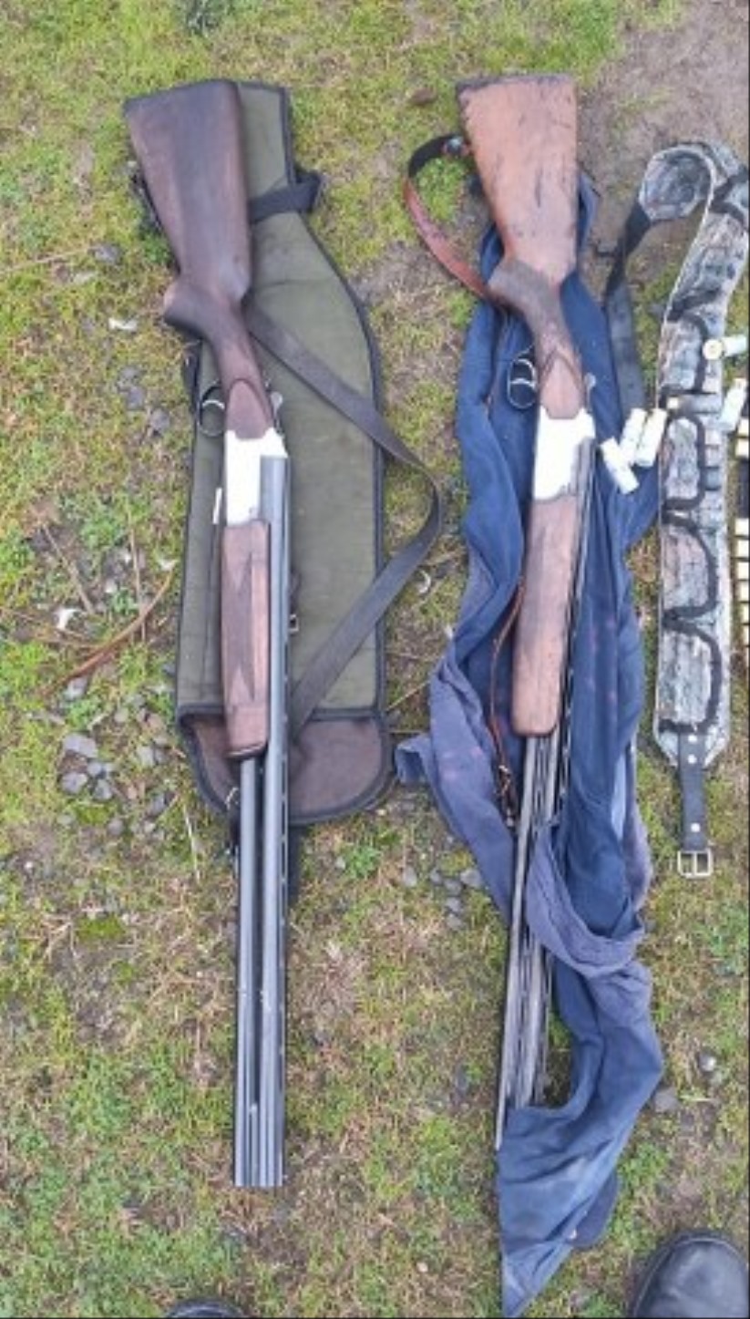 Samsun'da kaçak avcı katliamı