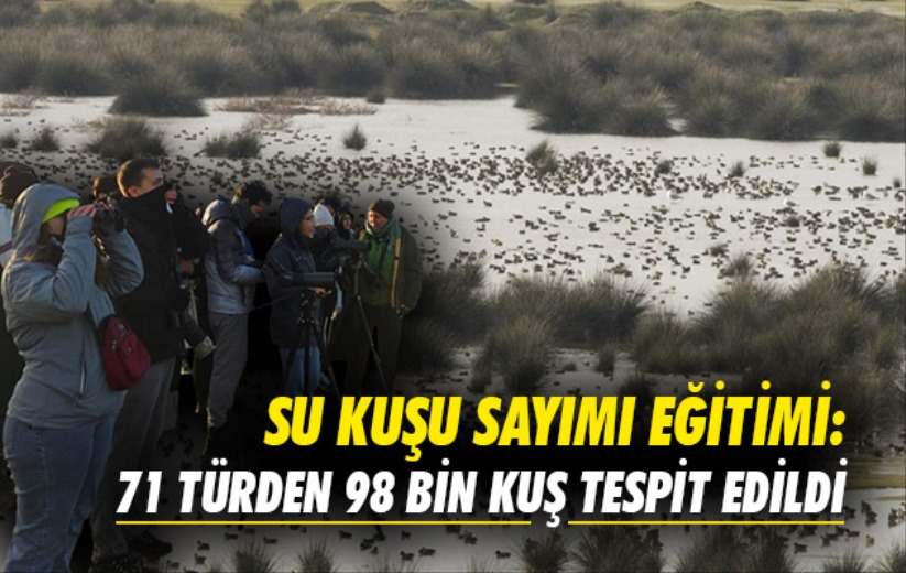 Samsun'da su kuşu sayım eğitimi: 71 türden 98 bin kuş tespit edildi