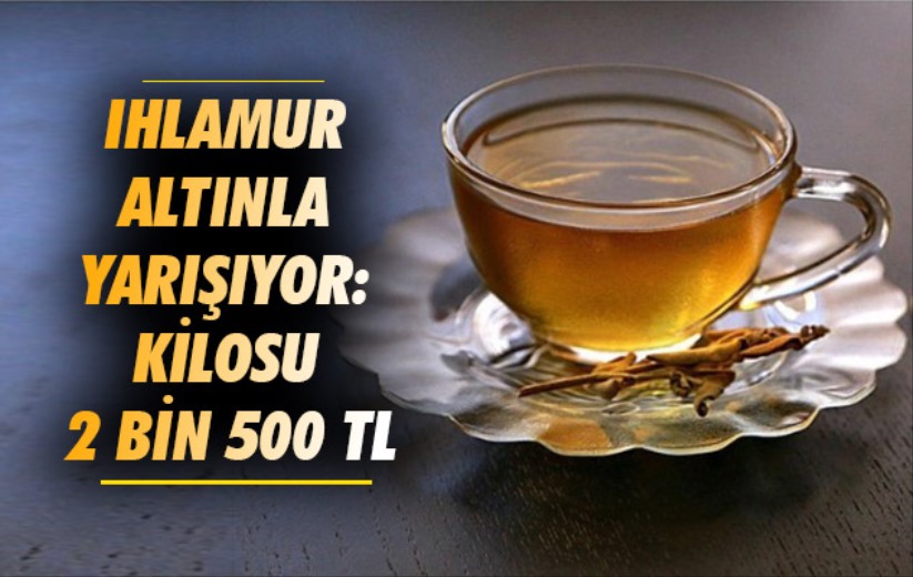 Samsun'da Ihlamur altınla yarışıyor: Kilosu 2 bin 500 TL