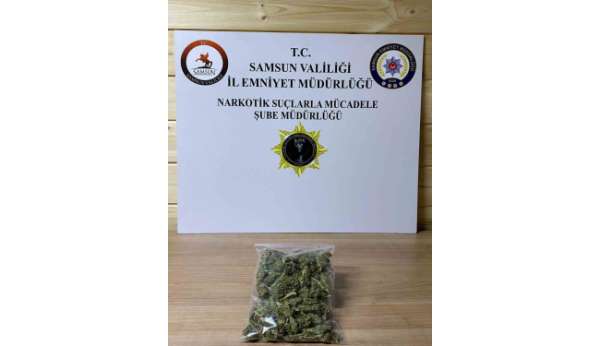 Samsun'da 142,5 gram skunk ele geçirildi