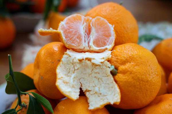 En ucuz meyve mandalina: Dalında 3, pazarda 5 lira