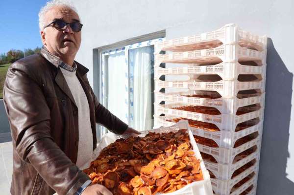 Köyde kurulan tesisle kurutulan cennet hurmaları Almanya'ya ihraç edildi