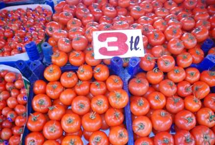 Tokat'ta domates tanzim satış fiyatından satılıyor 