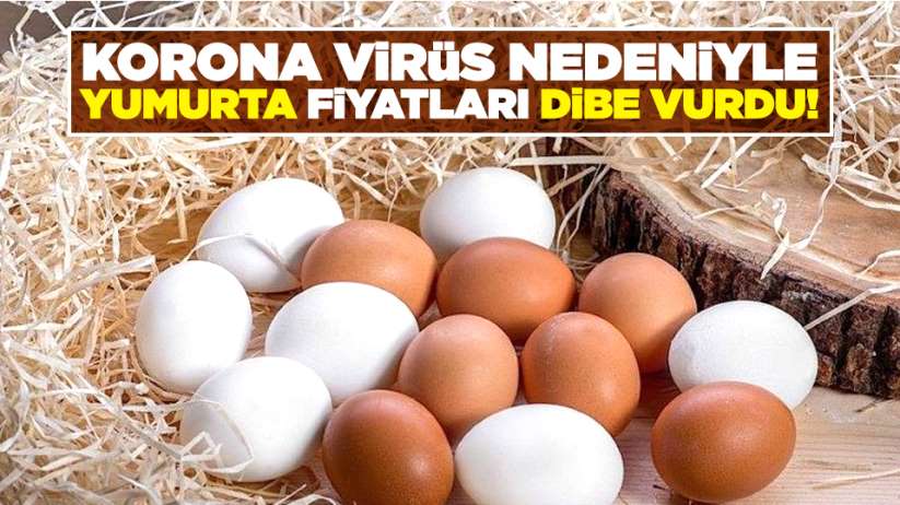 Korona virüs nedeniyle yumurta fiyatları dibe vurdu!