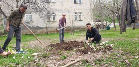 Çukurca'da tarlalar ekilmeye başlandı 