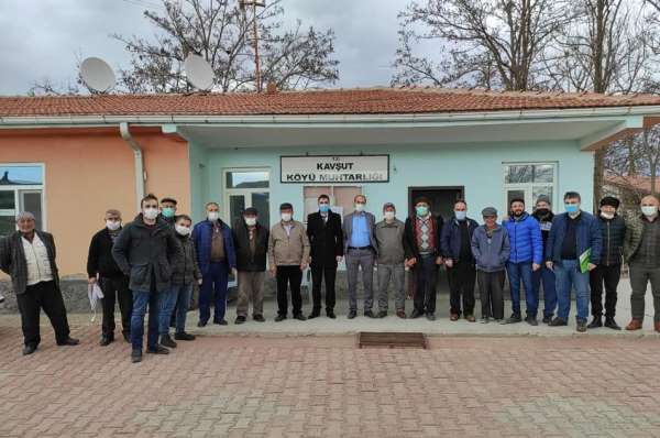 Sungurlu'da 100 dekar alana yağlık ayçiçeği ekilecek