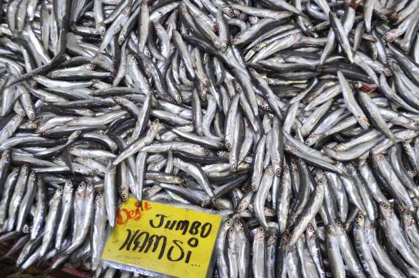 Afyonkarahisar'da 10 liraya satılan hamsi balığına yoğun talep 