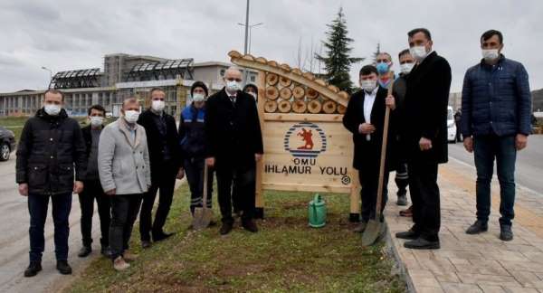 OMÜ Kurupelit Yerleşkesi ıhlamurlarla yeşillenecek 