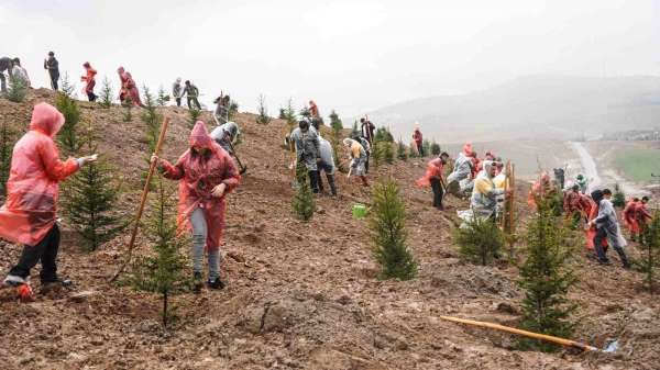 6 Şubat 2023 Deprem Şehitleri Hatıra Ormanı'nda 435 fidan toprakla buluştu - Ankara haber