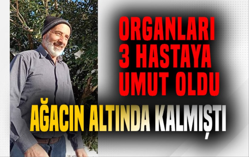 Ağacın altında kalmıştı, organları 3 hastaya umut oldu