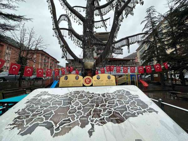 81 ilden toprağın getirildiği Anıt Ağacı'ndaki törenle şehitler anıldı - Ankara haber