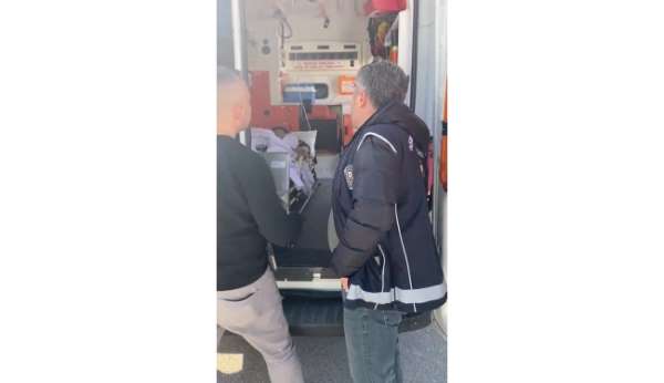 Amasya'da ambulanstan kaçak göçmen çıktı