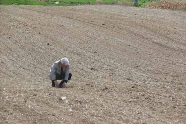 Soğanın başkentinden tüketiciye müjde