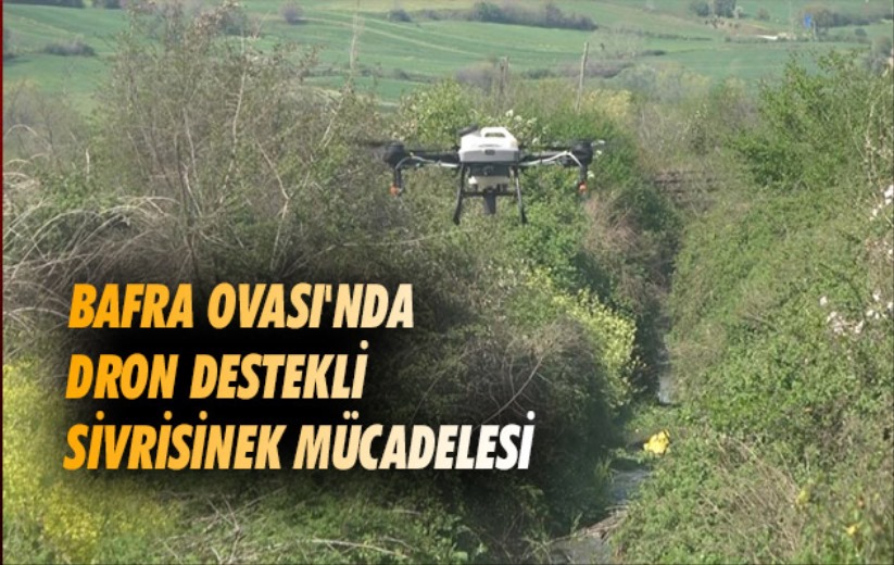 Samsun Bafra Ovası'nda dron destekli sivrisinek mücadelesi