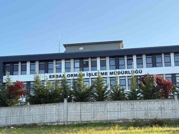 Tokat'ta jandarmadan yolsuzluk operasyonu: 7 gözaltı