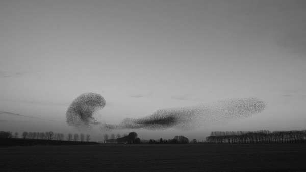 Ünlü saat markasının 'Yeni Başlangıçlar' temalı reklam filmi yayında 