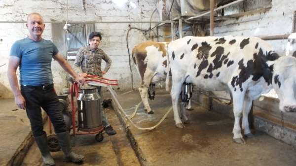 Burhaniye'de süt satışları arttı